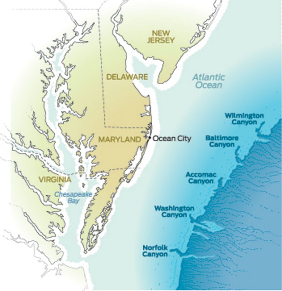 Baltimore Canyon Chart