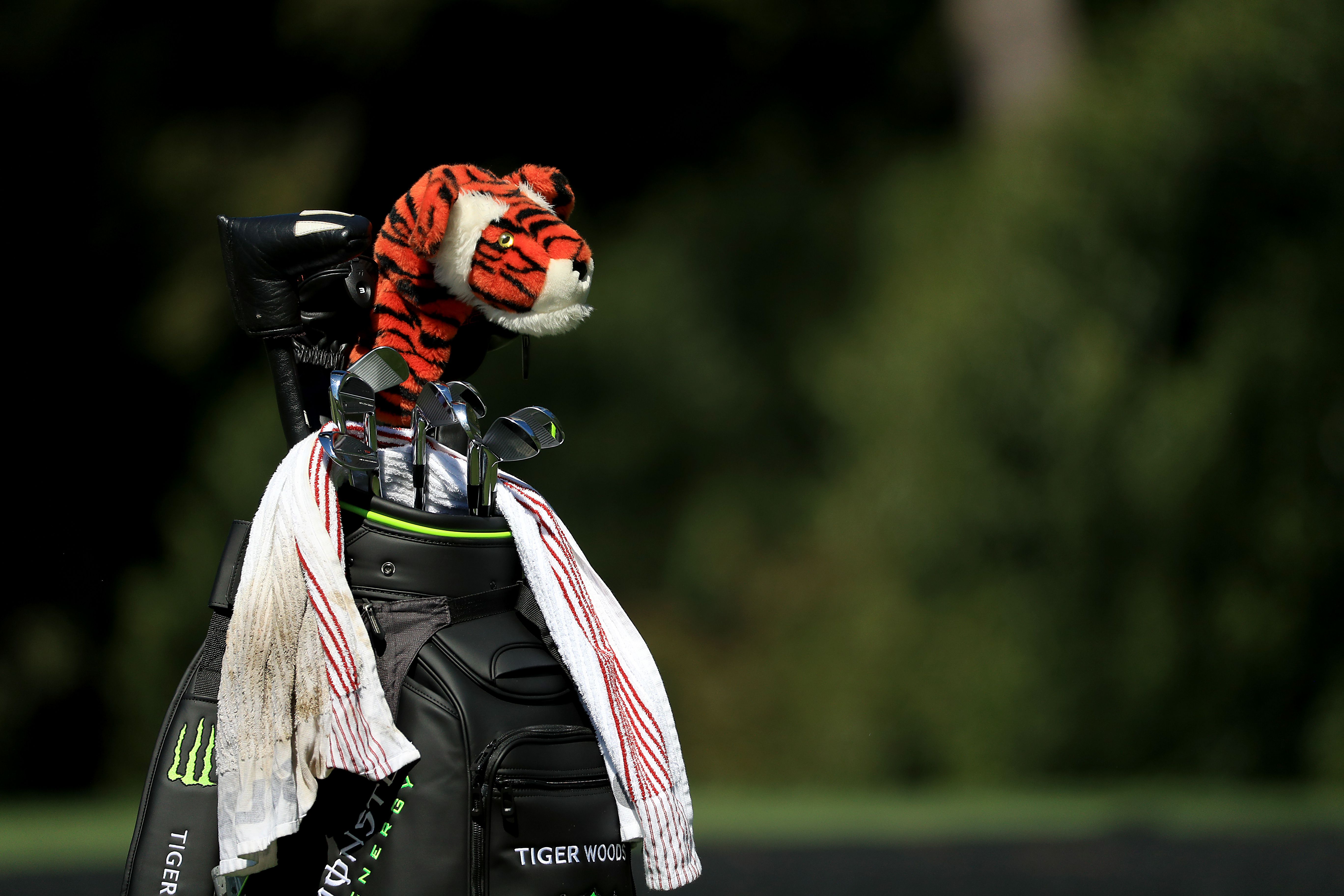 You Don T Know Frank Tiger Woods S Frank Here S The Story Behind The Stuffed Tiger Head Cover The Boston Globe