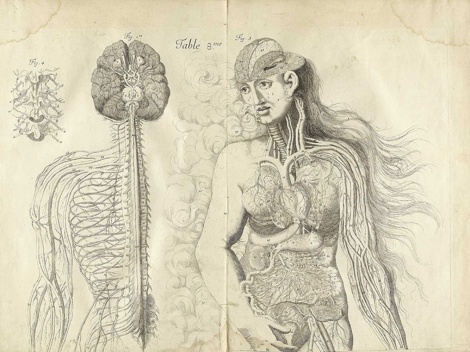 7 Fantastic Vintage Anatomy Drawings Popular Science