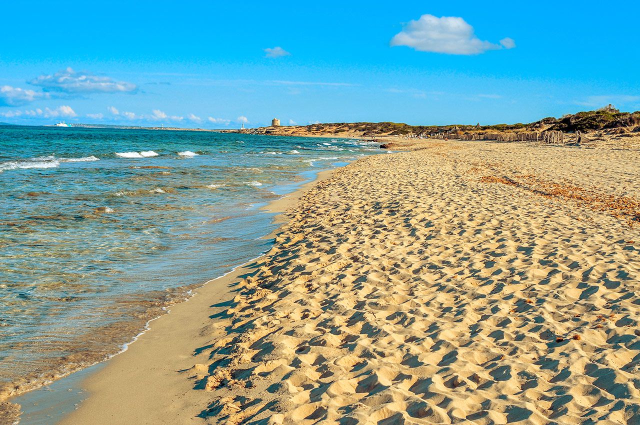 Haulover Beach Spy Cam - Best Nude Beaches in the World | Islands