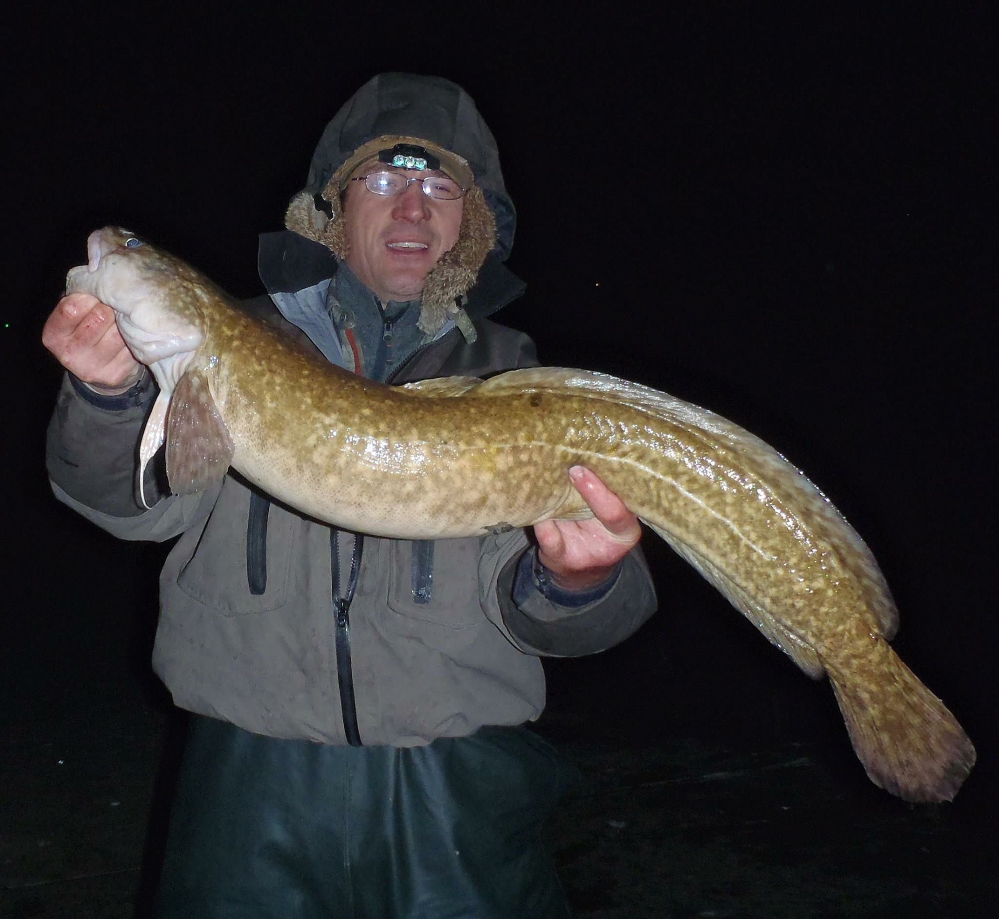 The mystery of the weird Lake Erie burbot, the fish you've ...