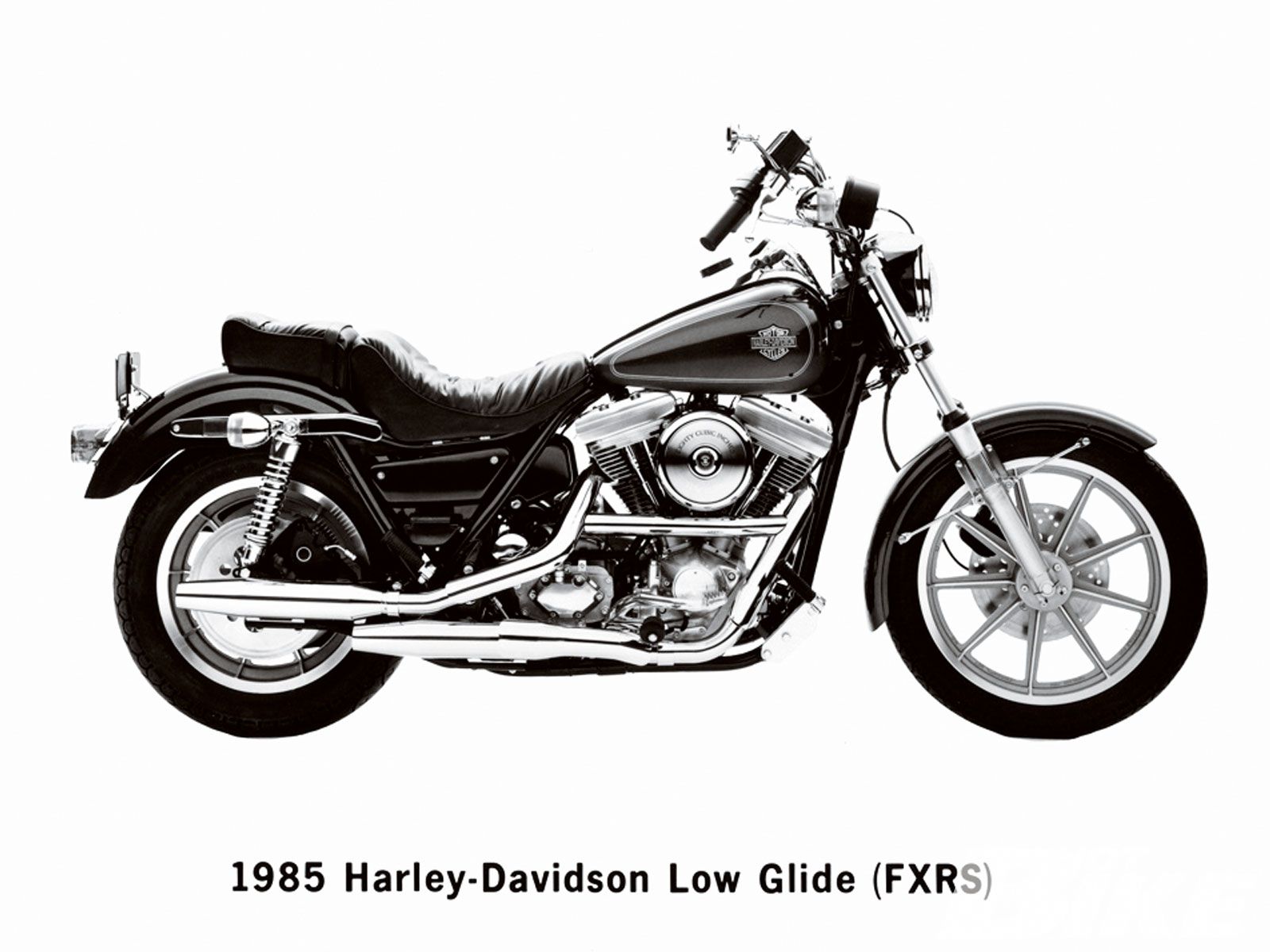 Back When The Harley Davidson Fxr Made Its Return Cycle World