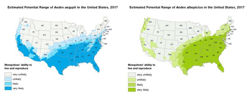 Mosquito Population Chart