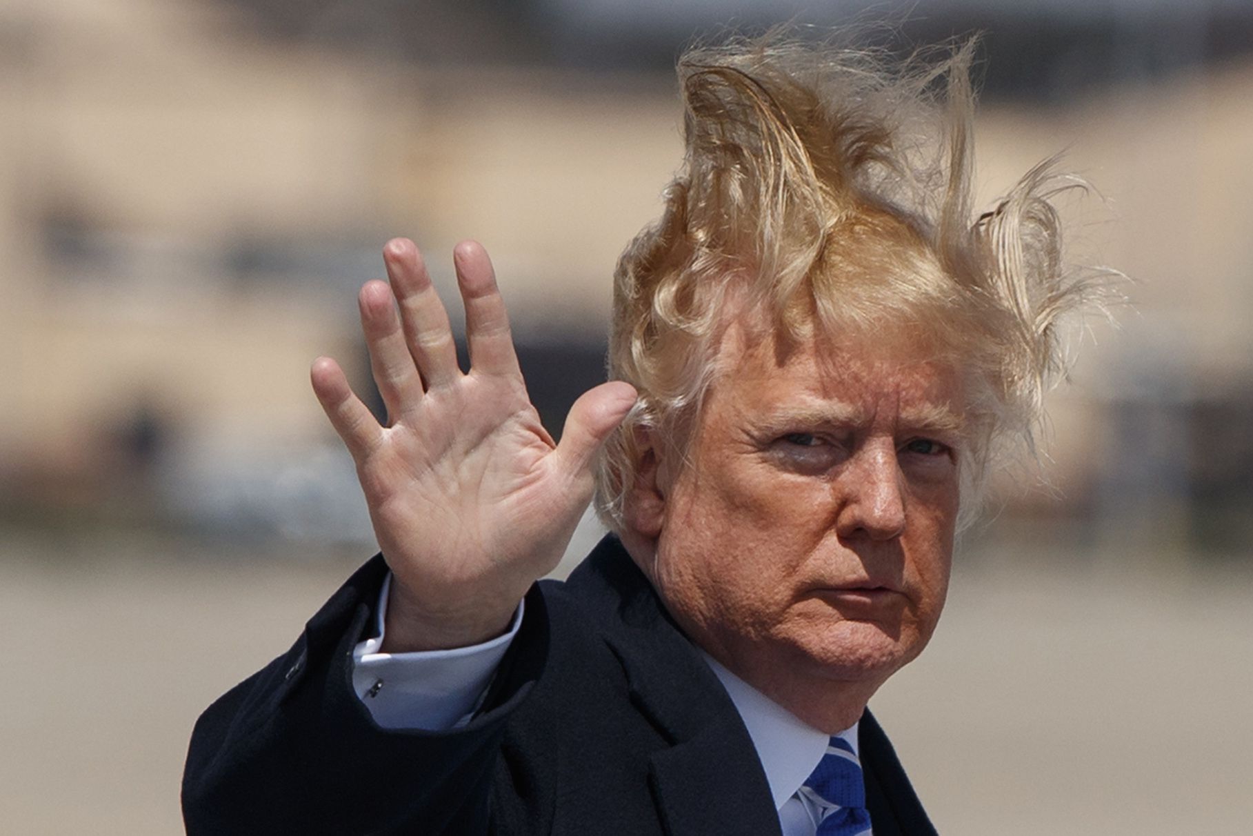 is donald trumps hair real