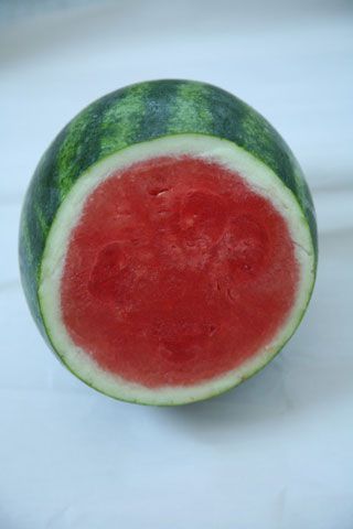 Varieties Of Watermelon Saveur,Pork Chop Grill Time 12 Inch