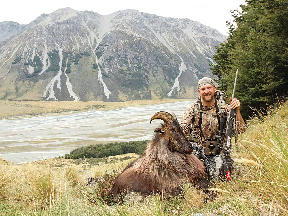 Hunting Tahr Chamois In New Zealand Field Stream