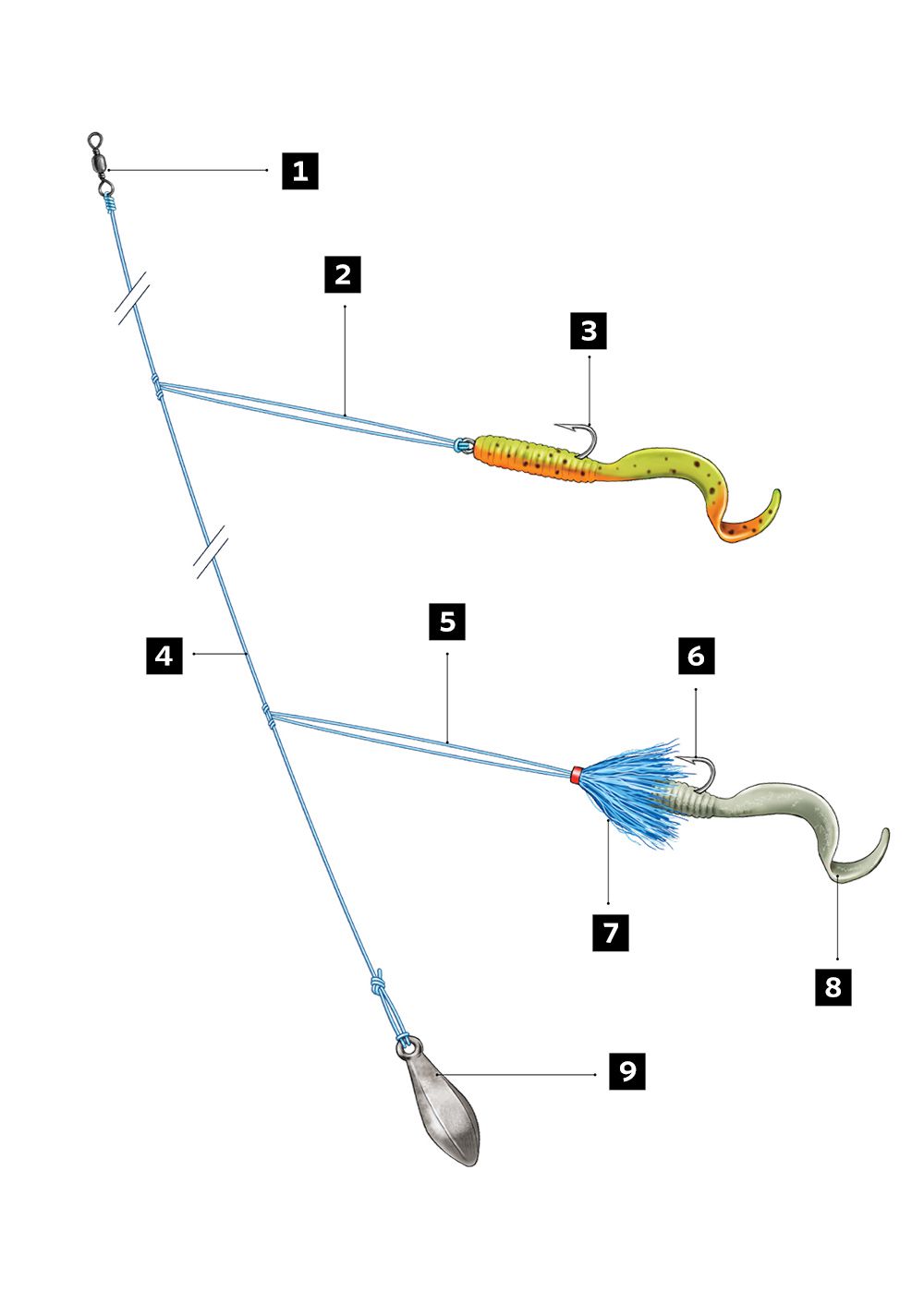 Fluke Fishing Setup - All About Fishing